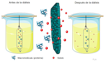 Técnicas de estudio en Bioquímica