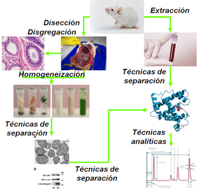 Técnicas de estudio en Bioquímica