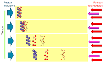 Técnicas de estudio en Bioquímica