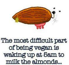 LAS 10 PEORES COSAS DE SER VEGETARIANO #WorldVegetarianDay