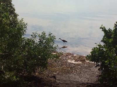 Visita los Florida Keys en Familia