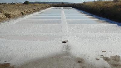 SALINAS DE CASTRO MARIMMoisés Cayetano RosadoSalinas, con...