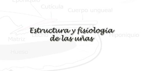 Estructura y fisiologia de las uñas