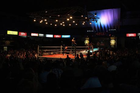 Lucha Libre Lucha Libre