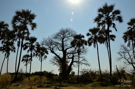 Safari en Botswana, Navegando por el Delta del Okavango