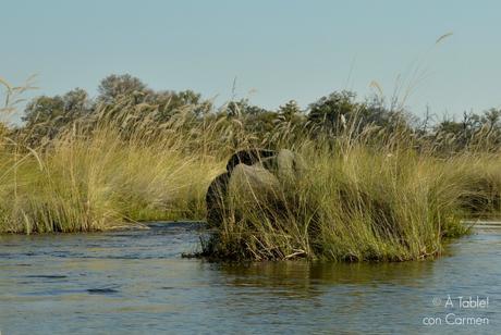 Safari en Botswana, Navegando por el Delta del Okavango