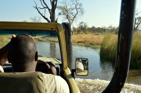 Safari en Botswana, Navegando por el Delta del Okavango