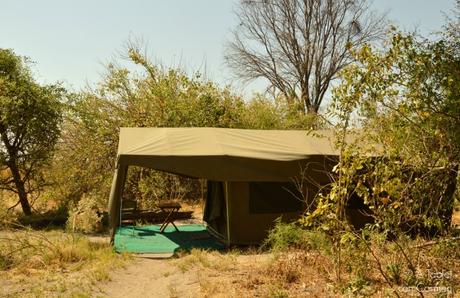 Safari en Botswana, Navegando por el Delta del Okavango