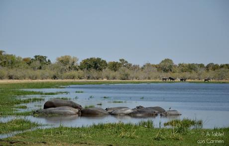 Safari en Botswana, Navegando por el Delta del Okavango