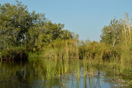 Safari en Botswana, Navegando por el Delta del Okavango