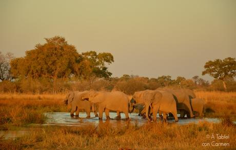 Safari en Botswana, Navegando por el Delta del Okavango