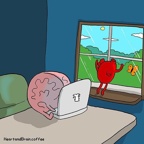 la razón y la emoción la razón y la emoción
