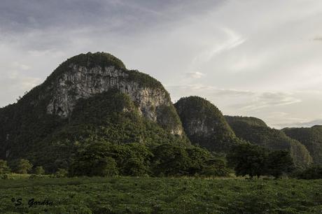 VIÑALES: LA TIERRA DE LOS MOGOTES Y LOS HABANOS 44