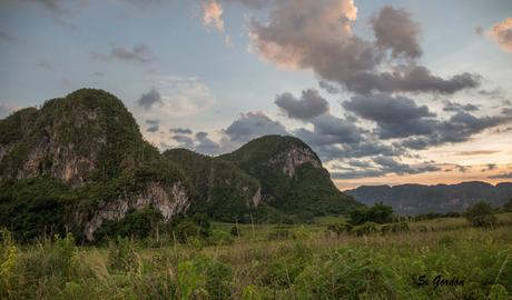 VIÑALES: LA TIERRA DE LOS MOGOTES Y LOS HABANOS 41-5