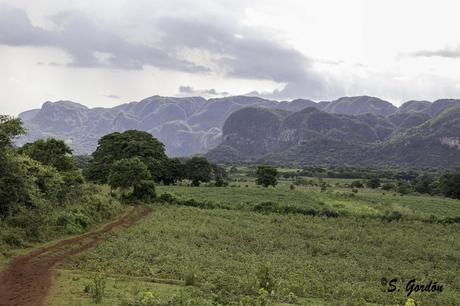 VIÑALES: LA TIERRA DE LOS MOGOTES Y LOS HABANOS 48