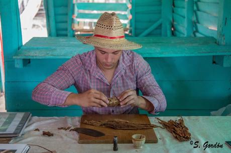 VIÑALES: LA TIERRA DE LOS MOGOTES Y LOS HABANOS 35-5