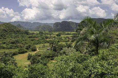 VIÑALES: LA TIERRA DE LOS MOGOTES Y LOS HABANOS 39