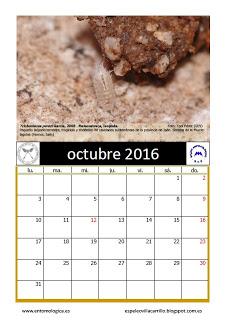 Calendario AeE-GEV Octubre 2016