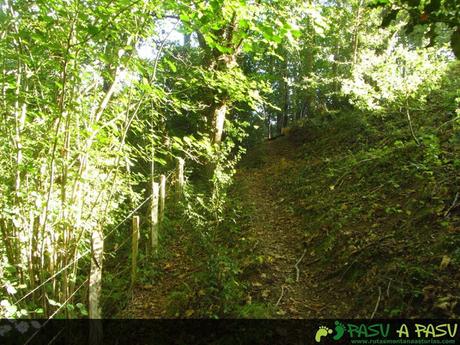 Camino al Fresnedal en Cabrales