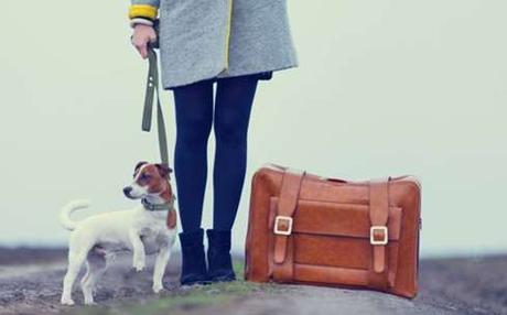 Viajar con Animales Viajar con Animales