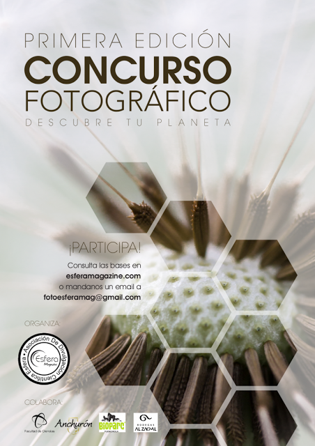 Concurso Fotográfico 