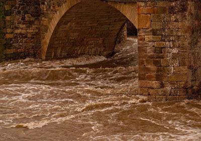 La Educación Social, un puente sobre aguas turbulentas