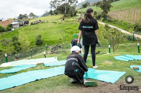 Fundación Chevrolet apoyando a Fundación Huellas Perros al Servicio