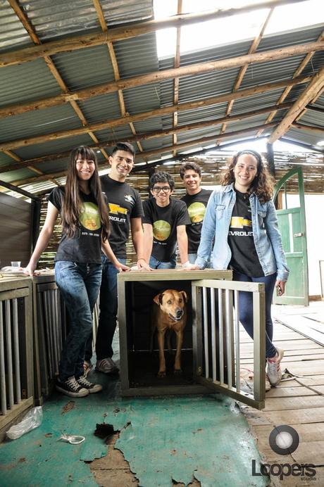 Fundación Chevrolet apoyando a Fundación Huellas Perros al Servicio