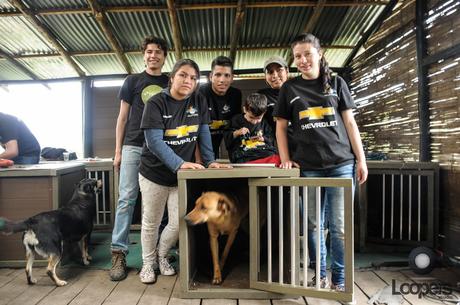 Fundación Chevrolet apoyando a Fundación Huellas Perros al Servicio