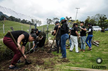 Fundación Chevrolet apoyando a Fundación Huellas Perros al Servicio