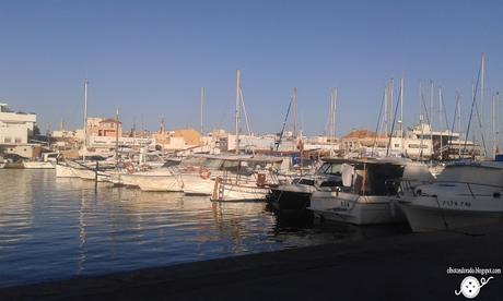 Mirando al mar