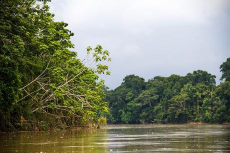 Cuyabeno, amazonía ecuatoriana