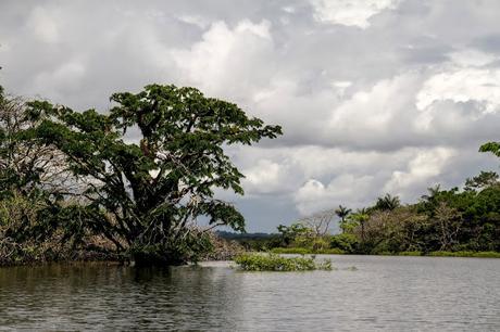 Cuyabeno, amazonía ecuatoriana