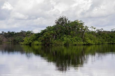 Cuyabeno, amazonía ecuatoriana