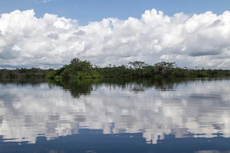 Cuyabeno, amazonía ecuatoriana