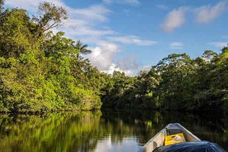 Cuyabeno, amazonía ecuatoriana