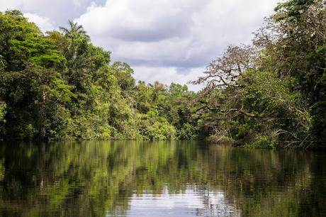 Cuyabeno, amazonía ecuatoriana