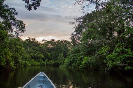 Cuyabeno, amazonía ecuatoriana