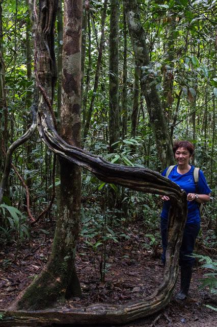 Cuyabeno, amazonía ecuatoriana