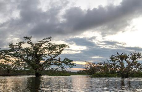 Cuyabeno, amazonía ecuatoriana