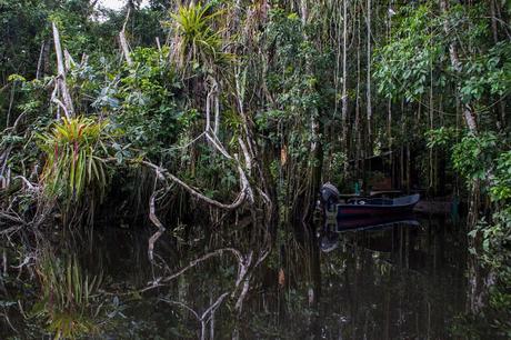 Cuyabeno, amazonía ecuatoriana