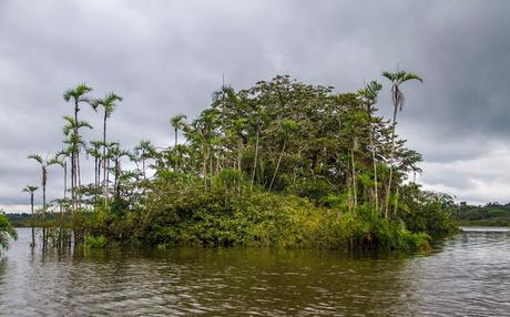 Cuyabeno, amazonía ecuatoriana