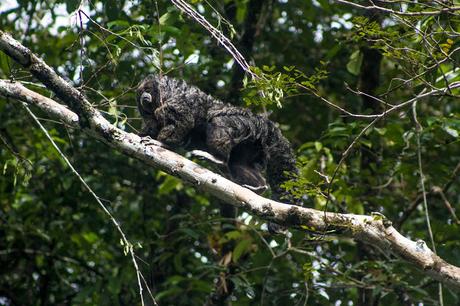 Cuyabeno, amazonía ecuatoriana