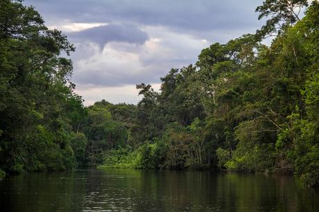 Cuyabeno, amazonía ecuatoriana