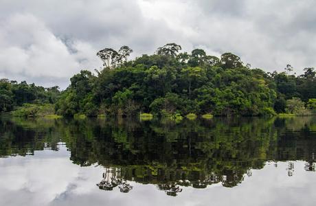 Cuyabeno, amazonía ecuatoriana