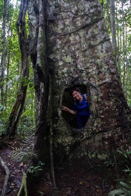 Cuyabeno, amazonía ecuatoriana