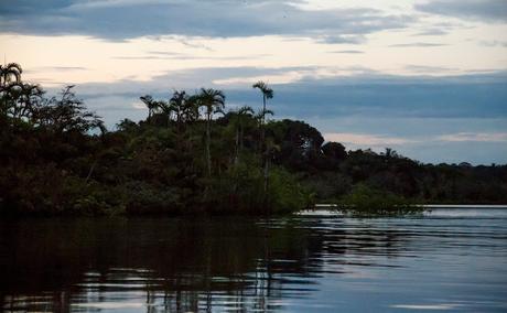 Cuyabeno, amazonía ecuatoriana