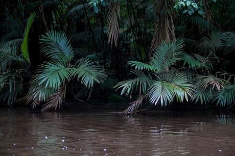 Cuyabeno, amazonía ecuatoriana