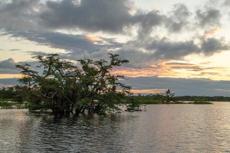 Cuyabeno, amazonía ecuatoriana