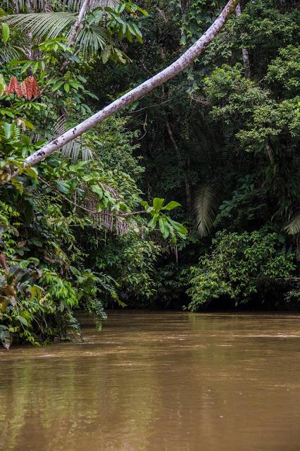 Cuyabeno, amazonía ecuatoriana